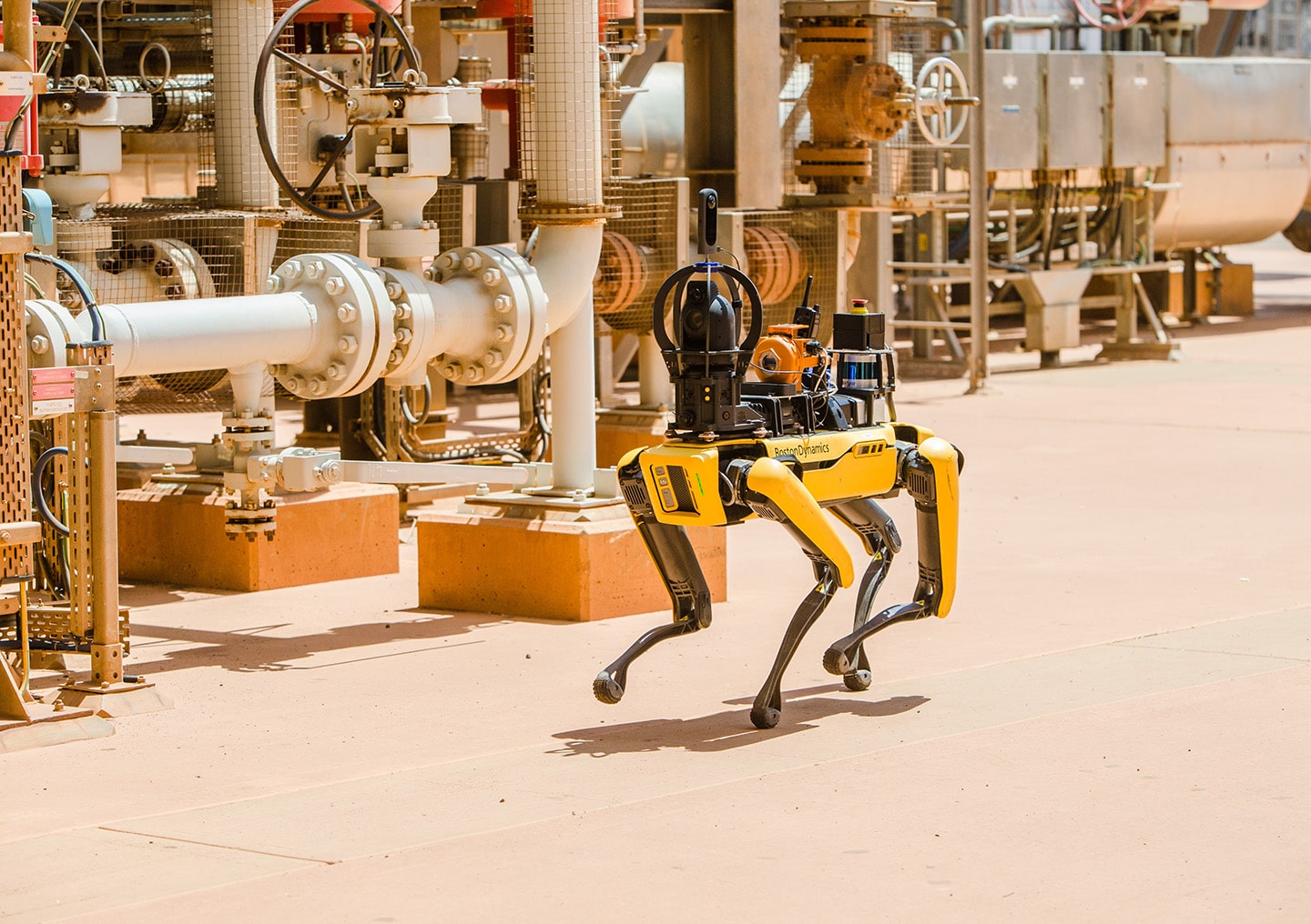Spot walks an inspection route at Woodside's LNG plant